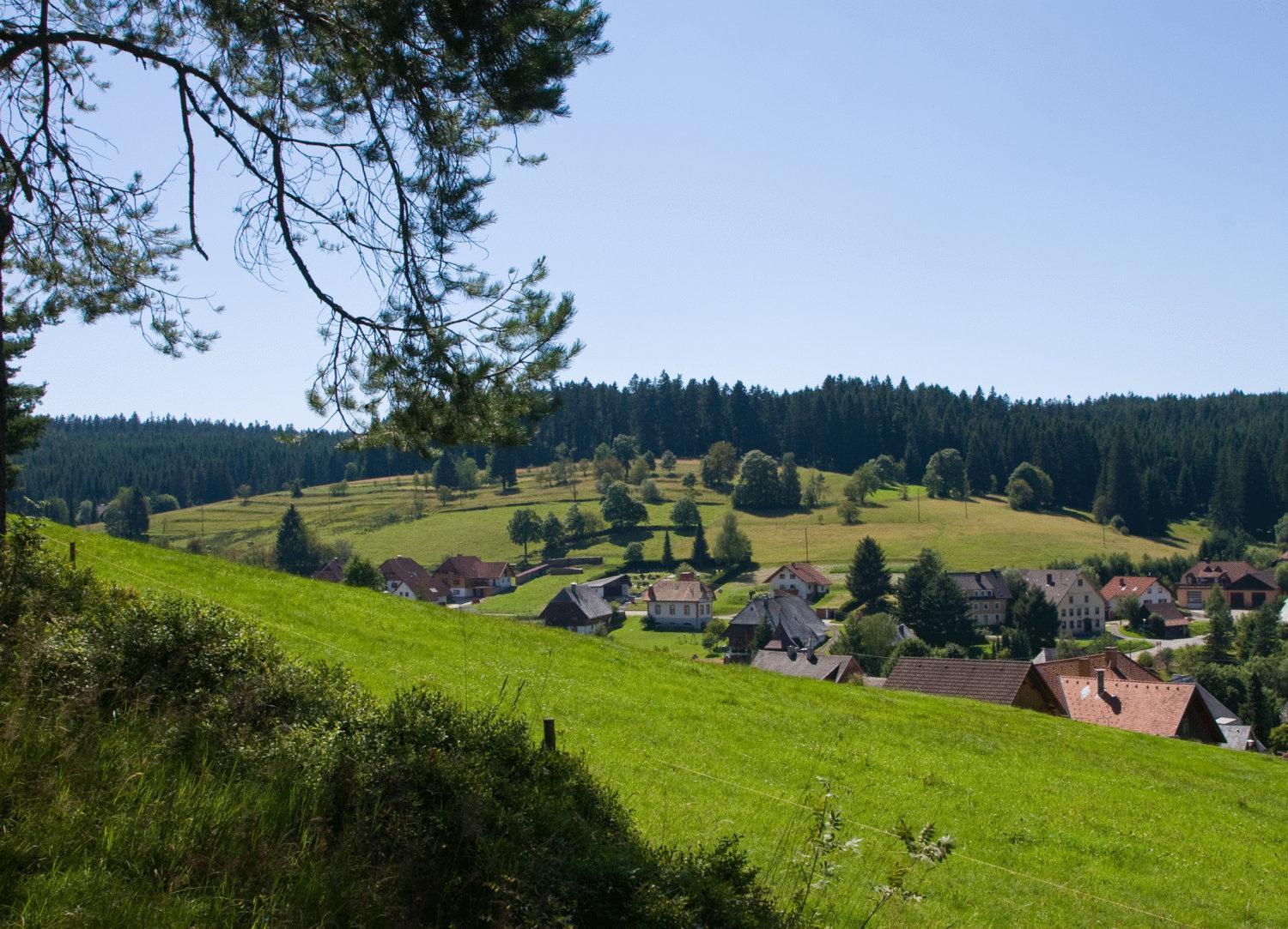 Auerhahn Bed And Breakfast - Black Forest - Waldhotel Eisenbach  Bagian luar foto